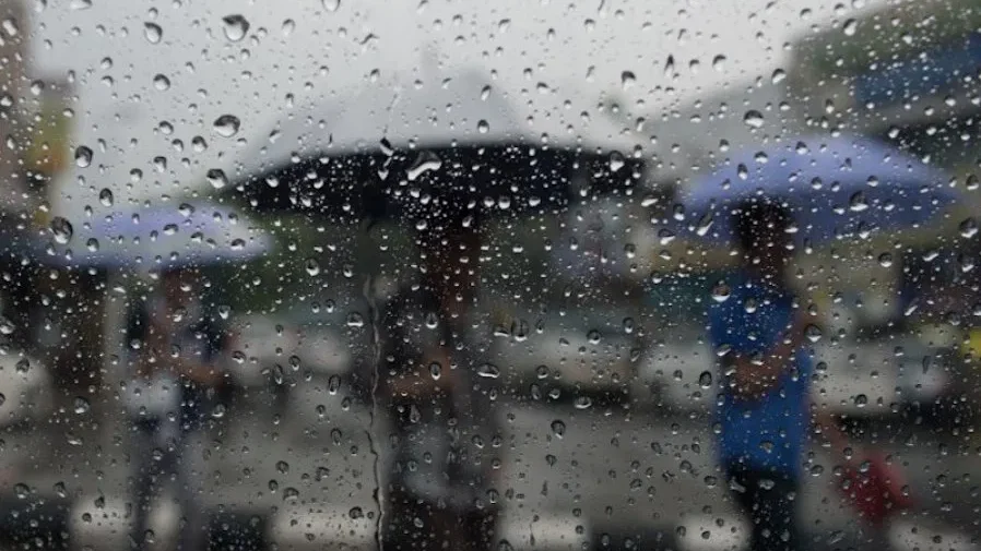 11月大马人一定要懂的事