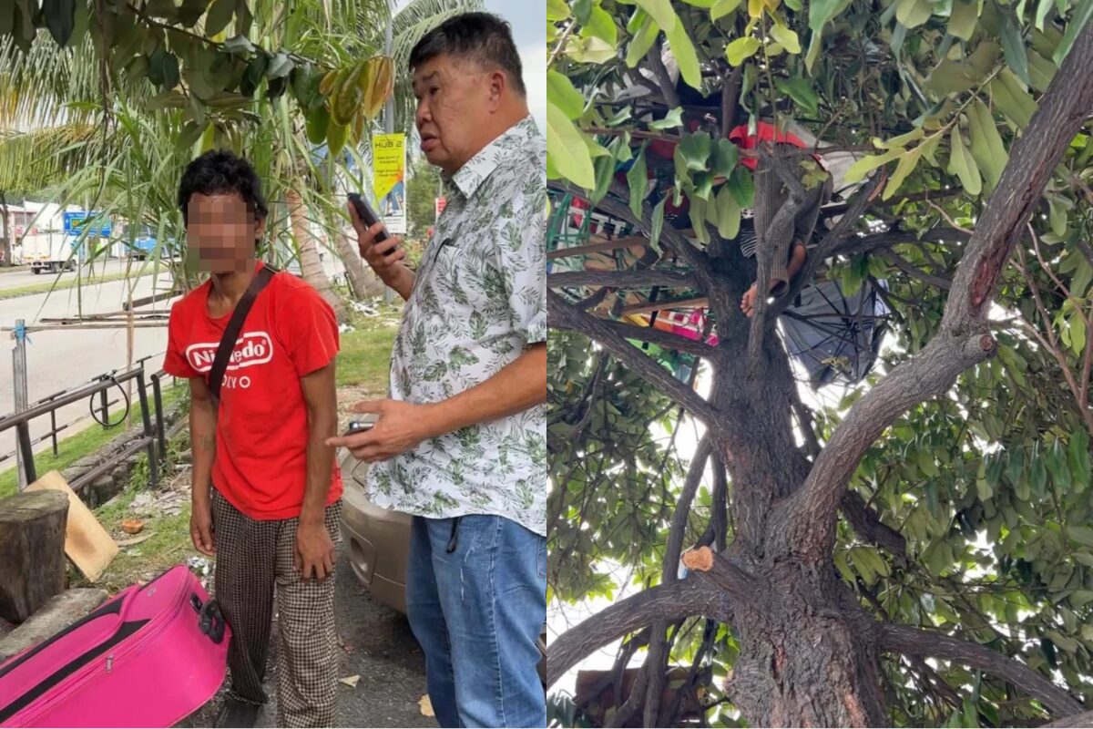 吉隆坡出现特殊居住现象 受经济困境影响男子选择树上栖身