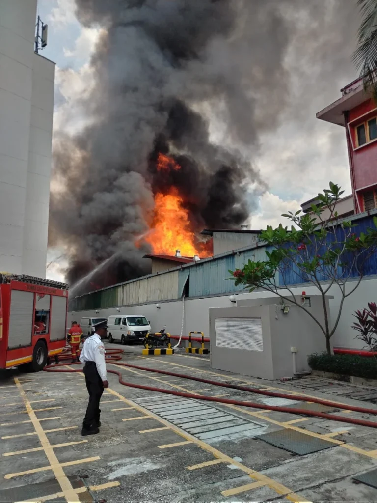 Sea Park家具厂大火